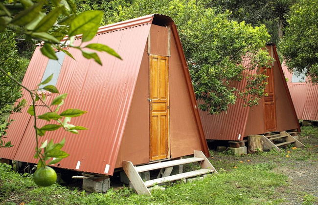 Natural Garden Glamping - Photo 2
