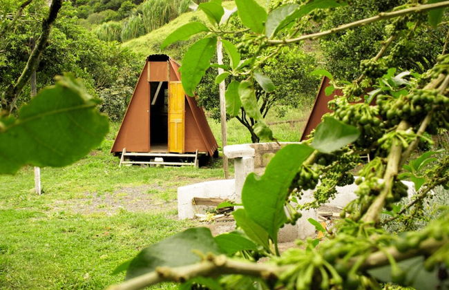 Natural Garden Glamping - Photo 6