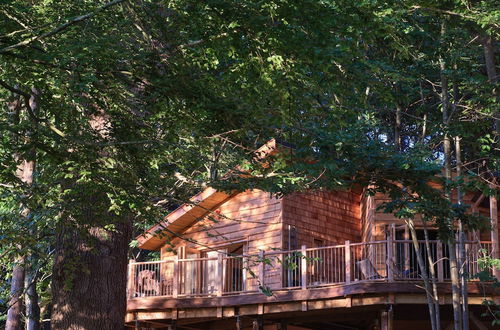 Photo 22 - Tree House Retreats