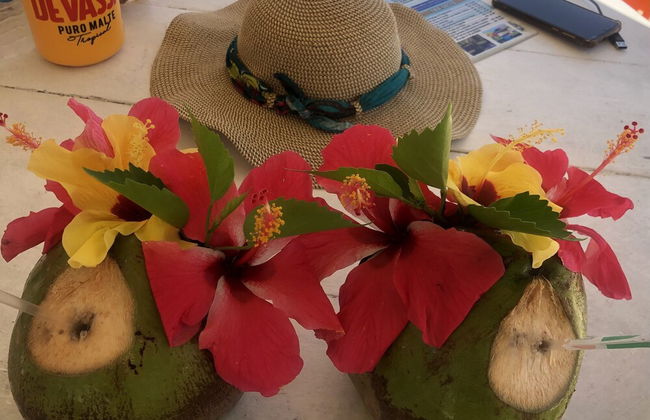 Branca Tropical Brasil Residencial - Foto 61