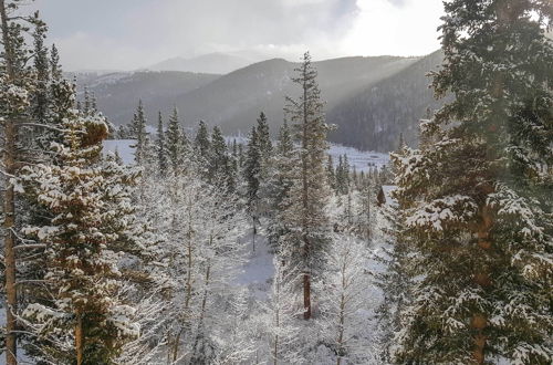 Photo 26 - Alma Home w/ Mtn Views ~20 Mi to Breckenridge