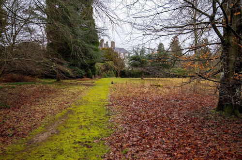 Photo 12 - Traditional & Homely 2BD Cottage in Kemnay