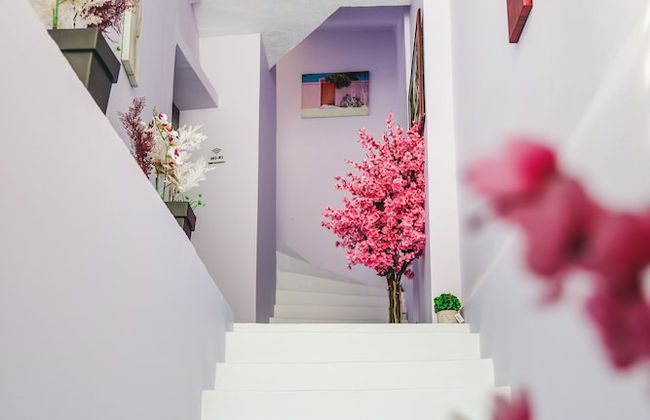 Foris Rooms - Photo 44
