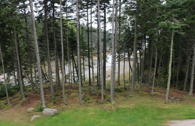 Deep Cove - Foto 19