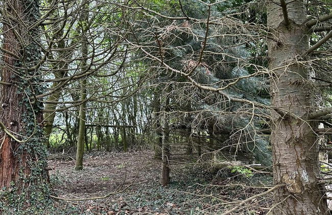 Woodlands Basic Bell Tent 3 - Photo 18