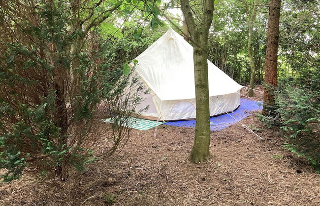 Woodlands Basic Bell Tent 3 - Photo 22