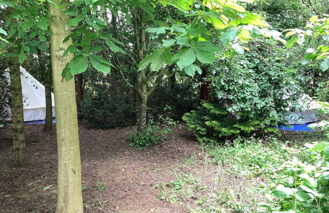 Woodlands Basic Bell Tent 3 - Photo 24