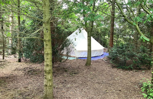 Woodlands Basic Bell Tent 3 - Photo 25