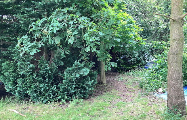 Woodlands Basic Bell Tent 3 - Photo 20