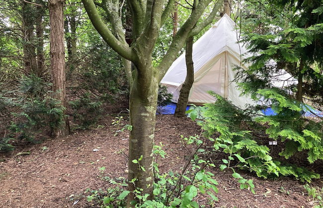 Woodlands Basic Bell Tent 3 - Photo 31