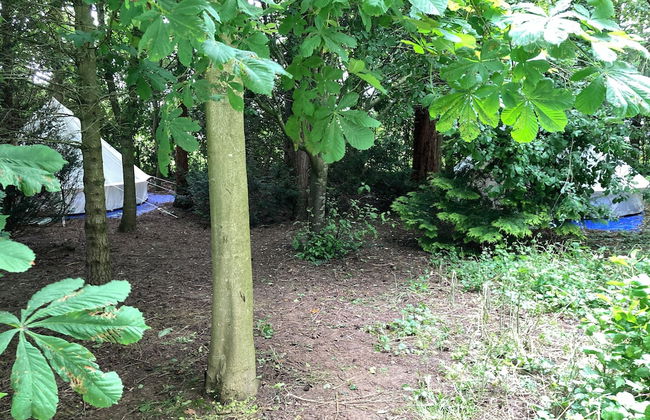 Woodlands Basic Bell Tent 3 - Photo 23
