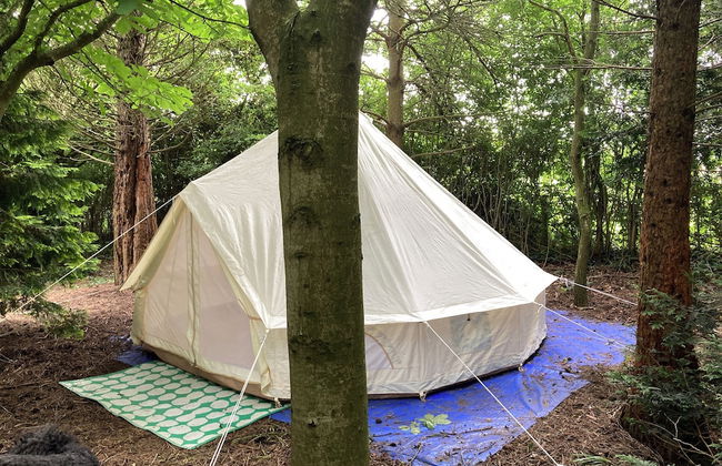 Woodlands Basic Bell Tent 3 - Photo 30