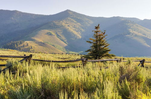 Photo 23 - Cozy Island Park Cabin, 20 Mi to Yellowstone