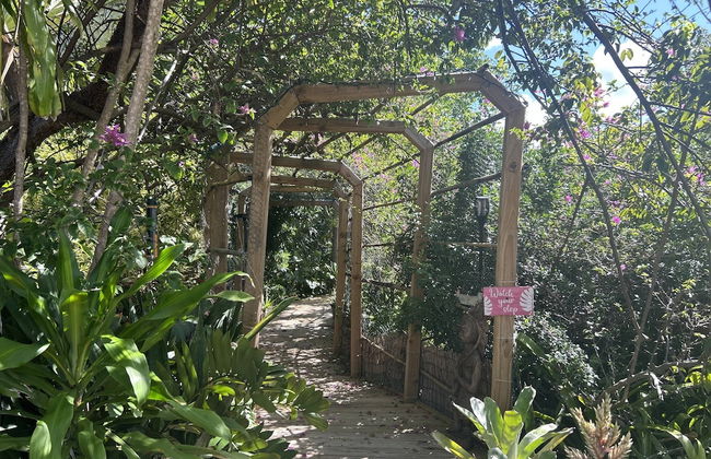 The Secret Garden Home Close to Beach, Shops, Restaurants, Pet Friendly, Close to Lucerne Ave! - Foto 57