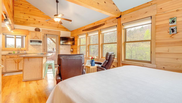 Sawyers Cabin w/ Hot Tub, 12 Mi to Asheville - Foto 2