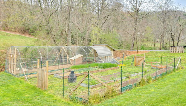 Sawyers Cabin w/ Hot Tub, 12 Mi to Asheville - Foto 4