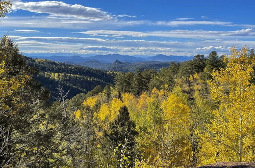 Photo 4 - Divide Cabin in the Heart of Colorful Colorado