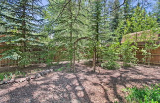 Foto 3 - Pinetop Oasis w/ Private Yard - Pet Friendly