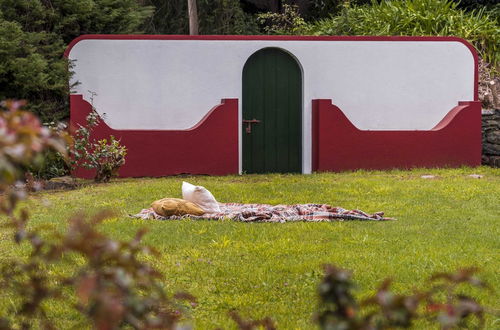 Photo 28 - Surrounded by Nature - Casa da Cebola