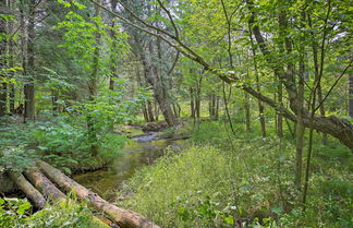 Photo 2 - Secluded Log Cabin in NW Michigan: Fire Pit & Deck