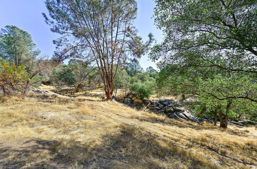 Photo 32 - Secluded Home in Natl Forest w/ Fire Pit