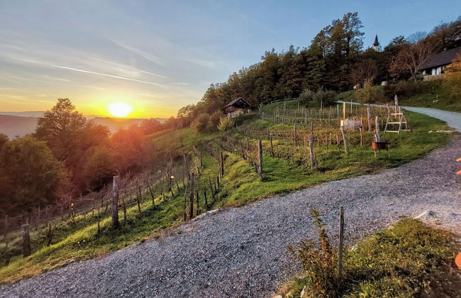 Vineyard Cottage Pavlin 3 - Foto 16