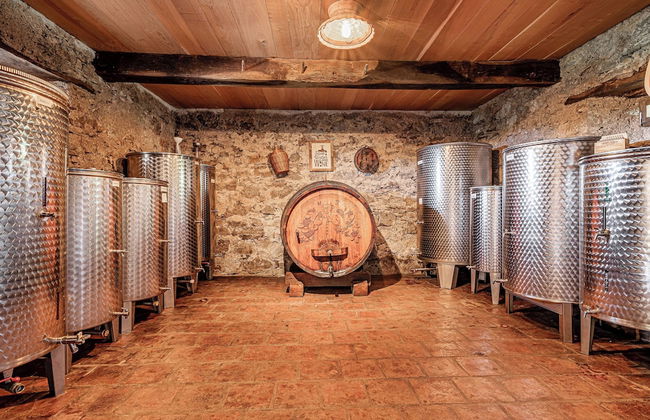 Vineyard Cottage Pavlin 3 - Foto 19