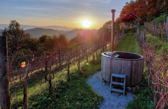 Vineyard Cottage Pavlin 3 - Foto 7