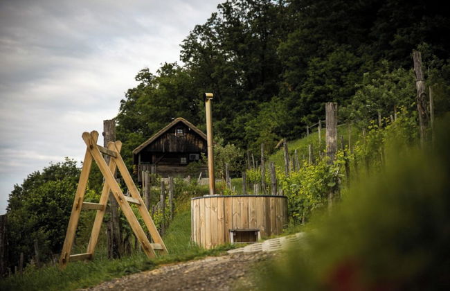 Vineyard Cottage Pavlin 3 - Foto 15