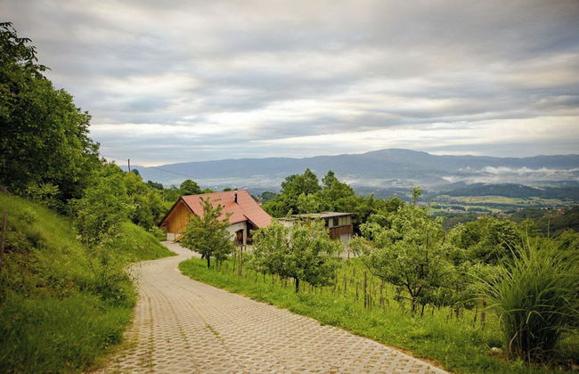 Vineyard Cottage Pavlin 3 - Foto 22