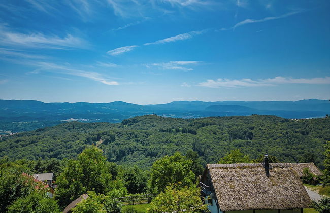 Vineyard Cottage Pavlin 3 - Foto 14