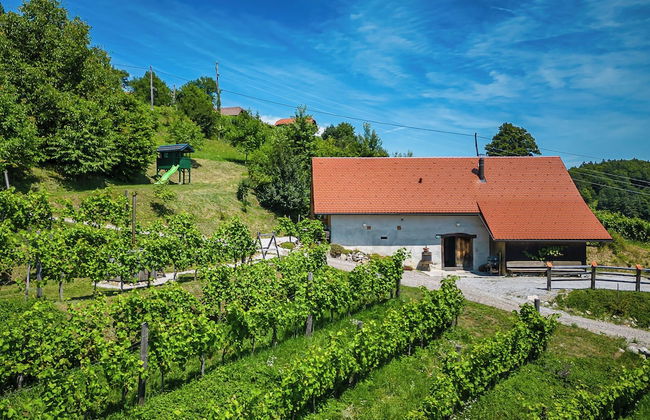 Vineyard Cottage Pavlin 3 - Foto 26