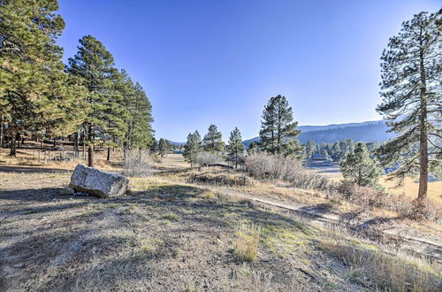 Photo 12 - Well-appointed Apt w/ Mountain & Forest Views