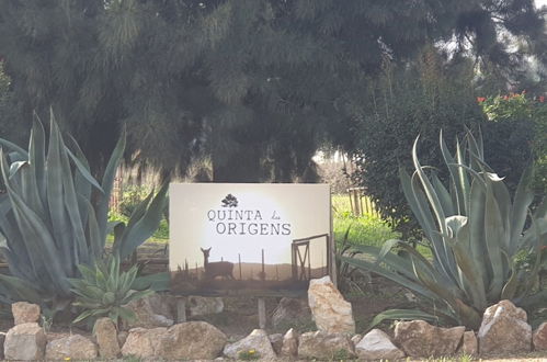 Photo 34 - Quinta das Origens