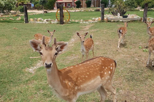 Photo 39 - Quinta das Origens