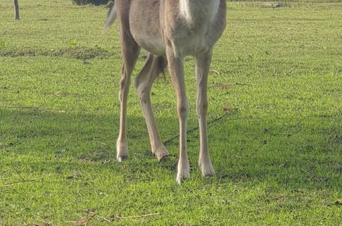 Foto 28 - Quinta das Origens