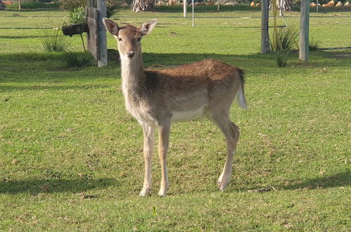 Foto 27 - Quinta das Origens