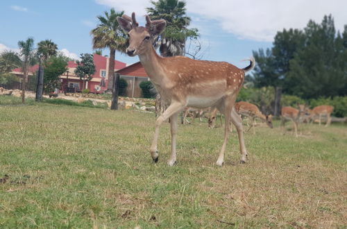 Photo 43 - Quinta das Origens