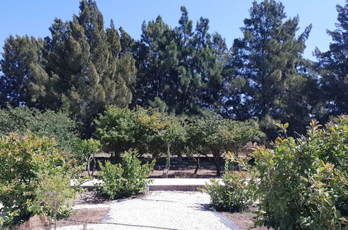 Photo 35 - Quinta das Origens