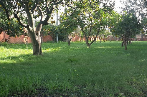 Photo 33 - Quinta das Origens