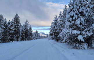 Foto 3 - Adventurer's Studio ~ 20 Mi to West Yellowstone