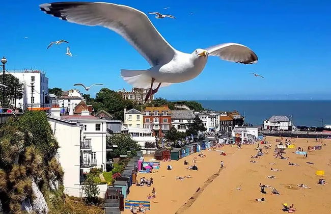 Cosy Seaside House 2min 5 Sandy Beach's 2 Dbl Beds - Foto 25