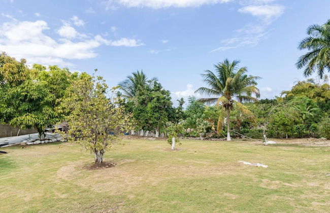 Lovely 1-bed in Montego Bay-rose View Apartment - Foto 11