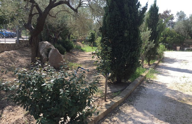 Vi Ja Villa Janas - Foto 24