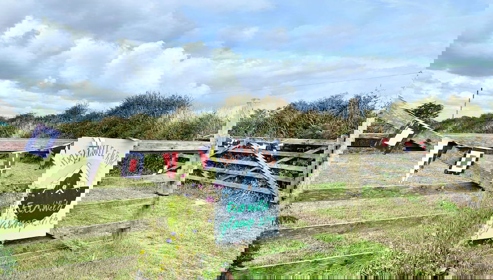 Primary image