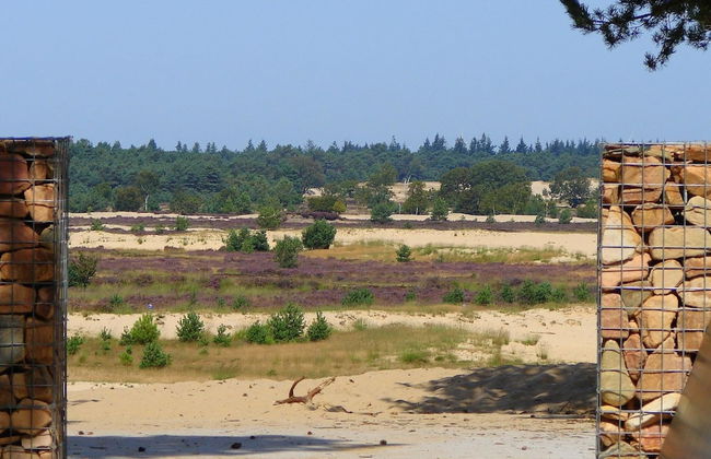 Chalet Near Loonse and Drunense Duinen - Foto 21