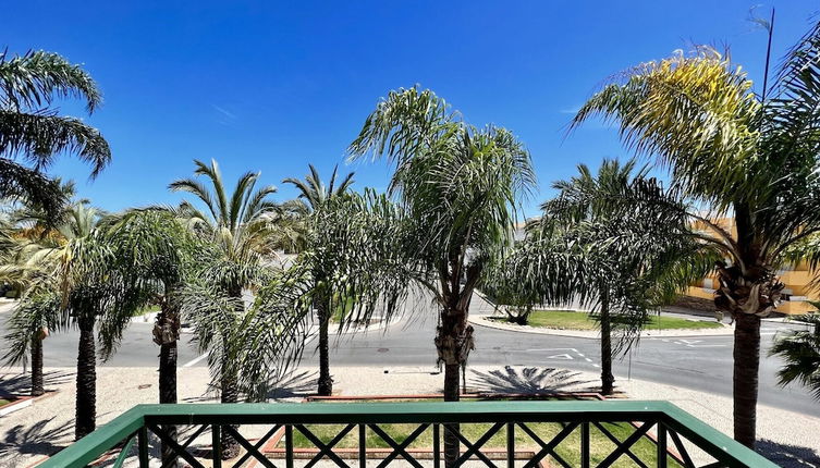 Photo 1 - Tavira Palm Tree by Homing