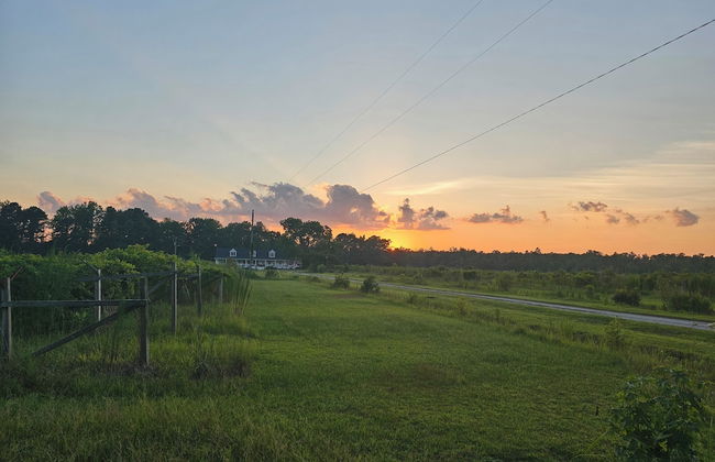 Phoenix Farms Vineyard - Photo 18