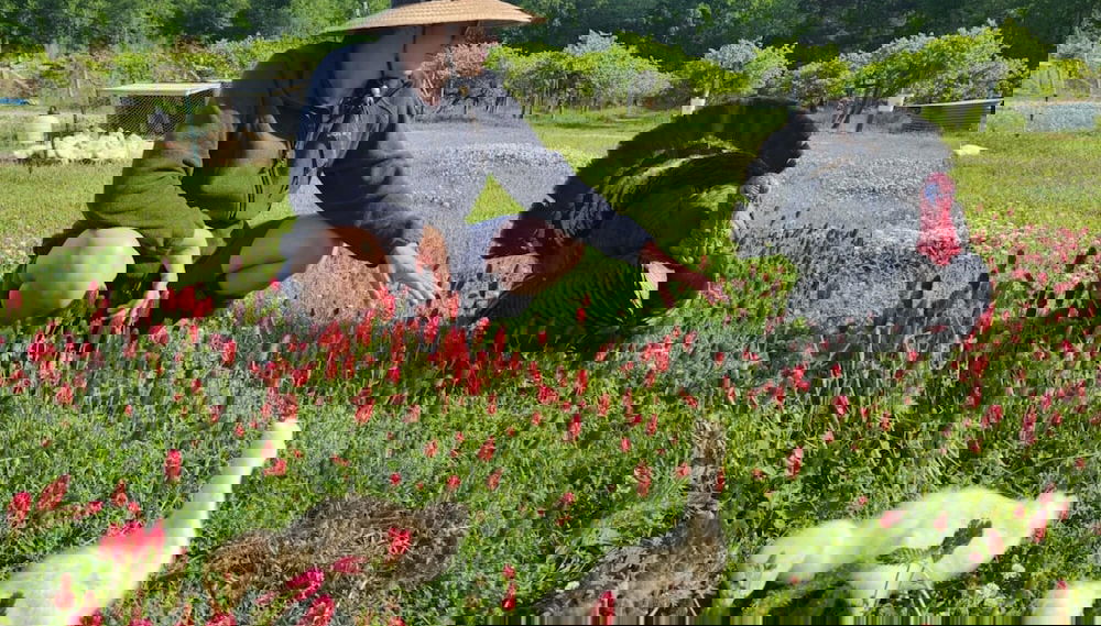 Imagem principal