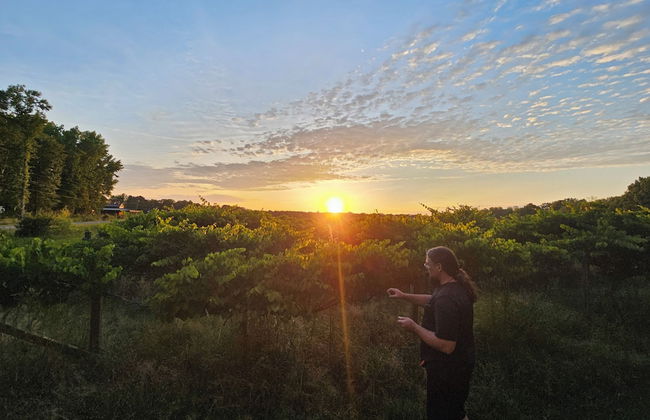 Phoenix Farms Vineyard - Photo 16